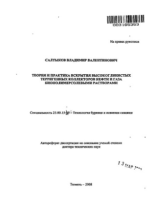 Обкладинка Теория и практика вскрытия высокоглинистых терригенных коллекторов нефти и газа биополимерсолевыми растворами