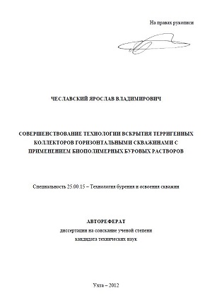 Обкладинка Совершенствование технологии вскрытия терригенных коллекторов горизонтальными скважинами с применением биополимерных буровых растворов