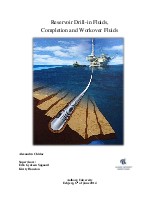 Обкладинка Reservoir Drill-in Fluids, Completion and Workover Fluids
