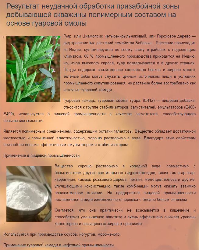 Обкладинка Результат неудачной обработки призабойной зоны добывающей скважины полимерным составом на основе гуаровой смолы